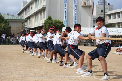 7綱引き1年 (1)