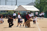 予行 (16)