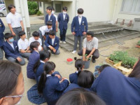 トマト (4)