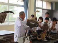 pict-理科の授業 (1)