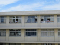 pict-IMG_0402