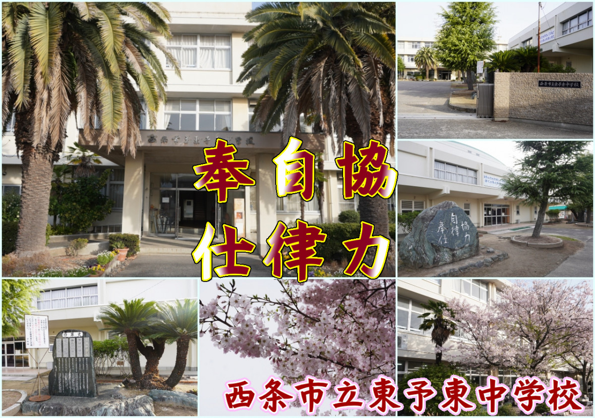 collage-1