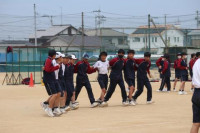 pict-IMG_1618