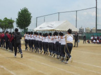 pict-IMG_9911