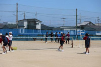 pict-女子テニス (1)