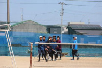 pict-女子テニス (2)