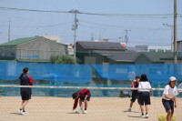 pict-女子テニス