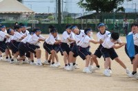 pict-1年 (1)