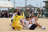 pict-3年