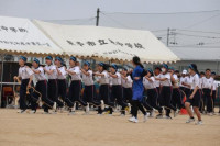 pict-むかで (4)