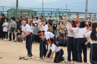 pict-むかで (5)