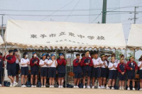 pict-むかで (6)