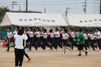 pict-むかで (12)