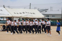 pict-むかで (13)