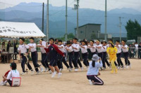 pict-むかで (14)