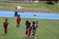 pict-サッカー (5)