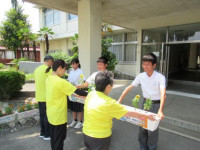pict-プランター (1)