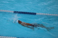 pict-水泳 (3)