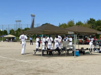 pict-ソフト (2)