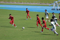 サッカー (16)
