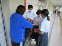 pict-赤い羽根 (2)
