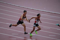 pict-IMG_3694
