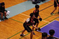 pict-卓球男子個人 (2)