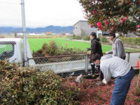 pict-奉仕作業 (4)