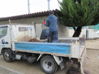 pict-奉仕作業 (6)