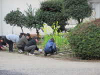 pict-奉仕作業 (7)