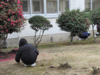 pict-奉仕作業 (8)