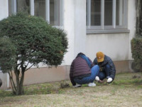 pict-奉仕作業 (9)