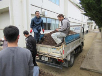 pict-奉仕作業 (13)